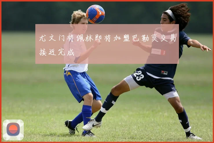 尤文门将佩林即将加盟巴勒莫交易接近完成