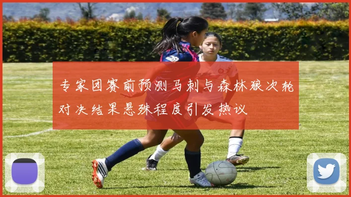 专家团赛前预测马刺与森林狼次轮对决结果悬殊程度引发热议